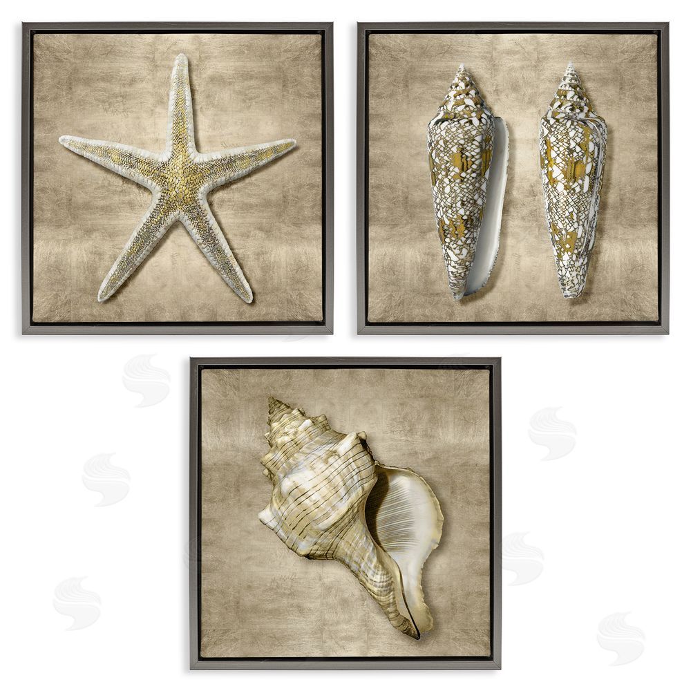 Caroline Kelly Nautical Shells Beach Starfish Gold Brown Gray Floating Frame Canvas Wall Art Print
