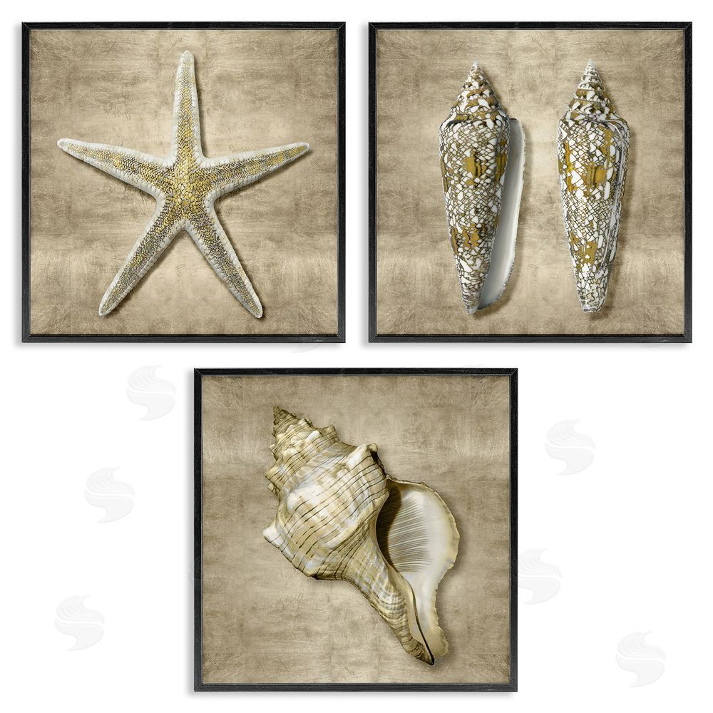 Caroline Kelly Nautical Shells Beach Starfish Gold Brown Black Framed Giclee Wall Art Print