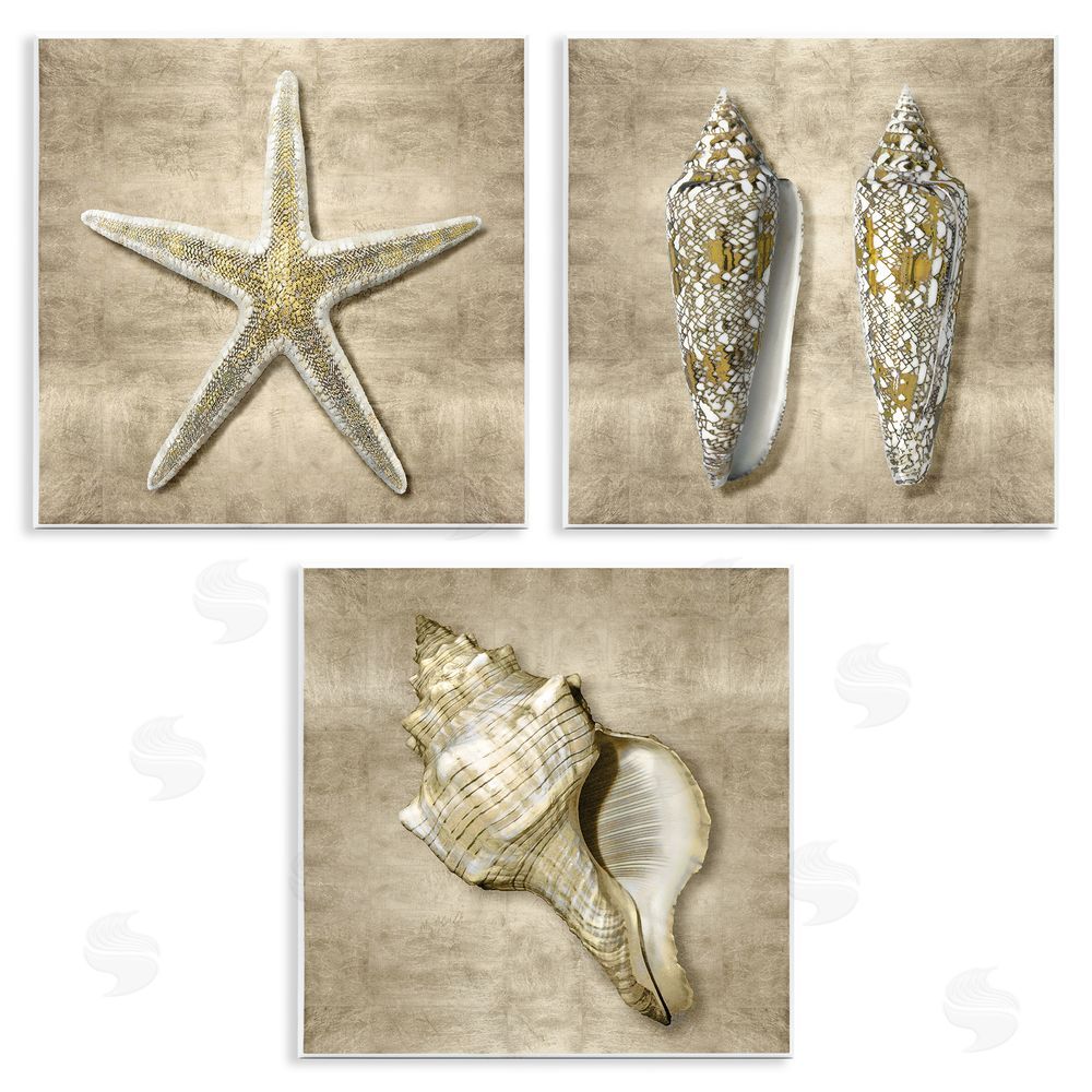 Caroline Kelly Nautical Shells Beach Starfish Gold Brown Wooden Wall Plaque Art Print