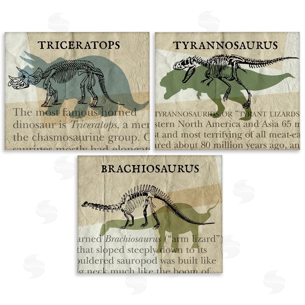 Stupell Studio Textbook Style Dinosaur Skeletons Canvas Wall Art Print