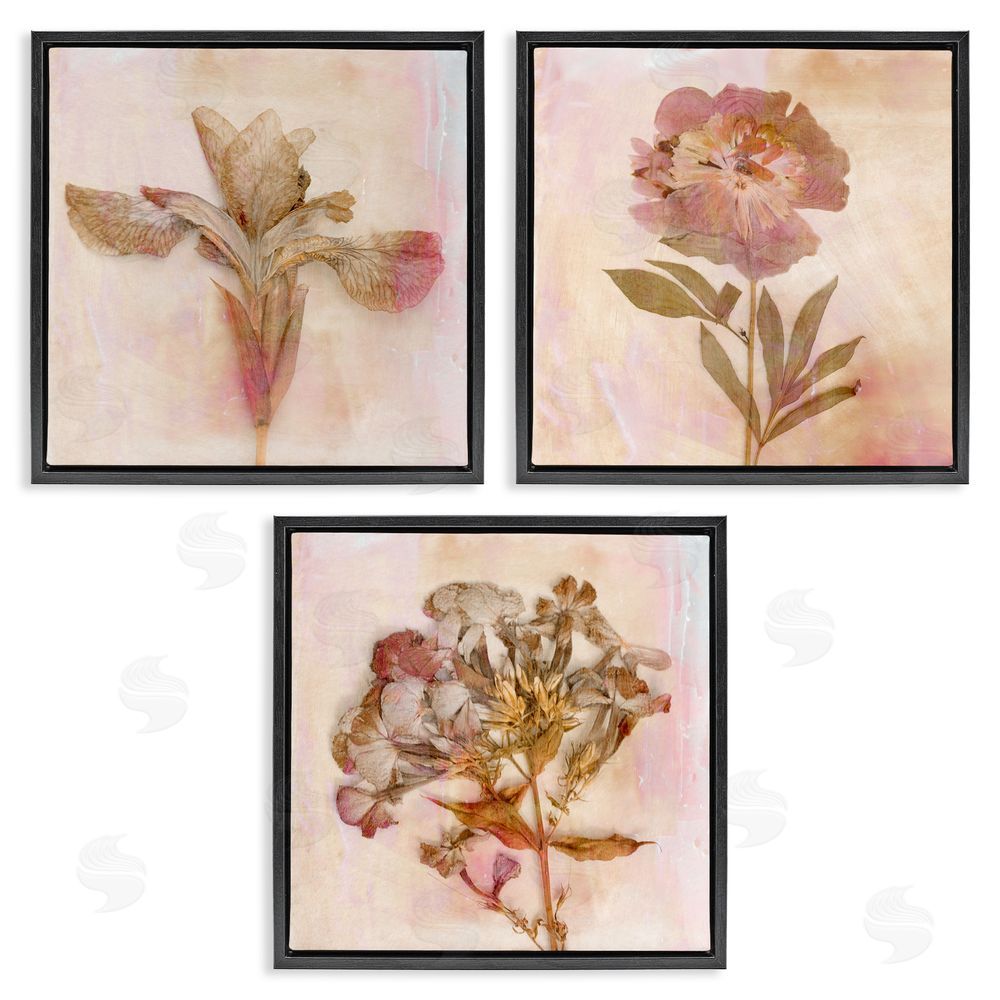 Judy Stalus Vintage Dried Pink Flowers Black Floating Frame Canvas Wall Art Print