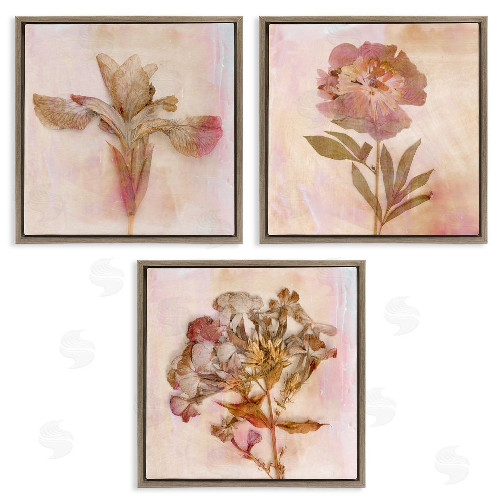 Judy Stalus Vintage Dried Pink Flowers Brown Floating Frame Canvas Wall Art Print