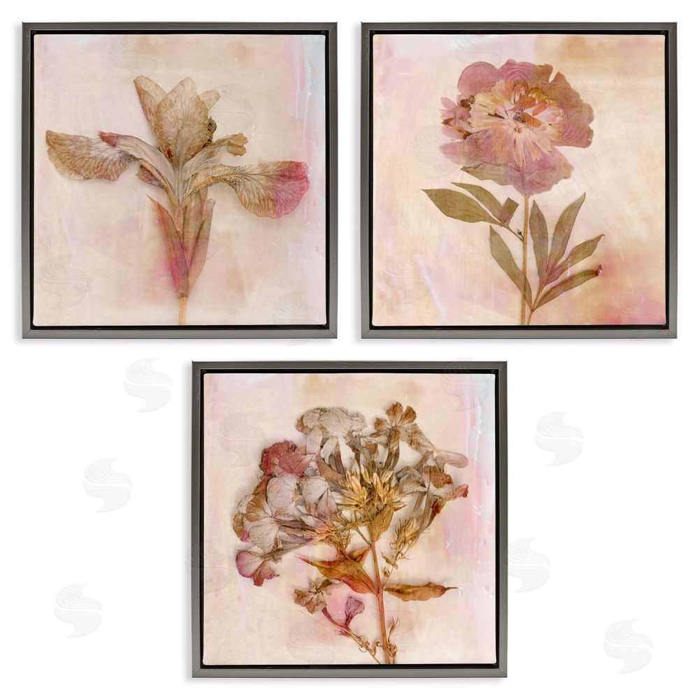 Judy Stalus Vintage Dried Pink Flowers Gray Floating Frame Canvas Wall Art Print