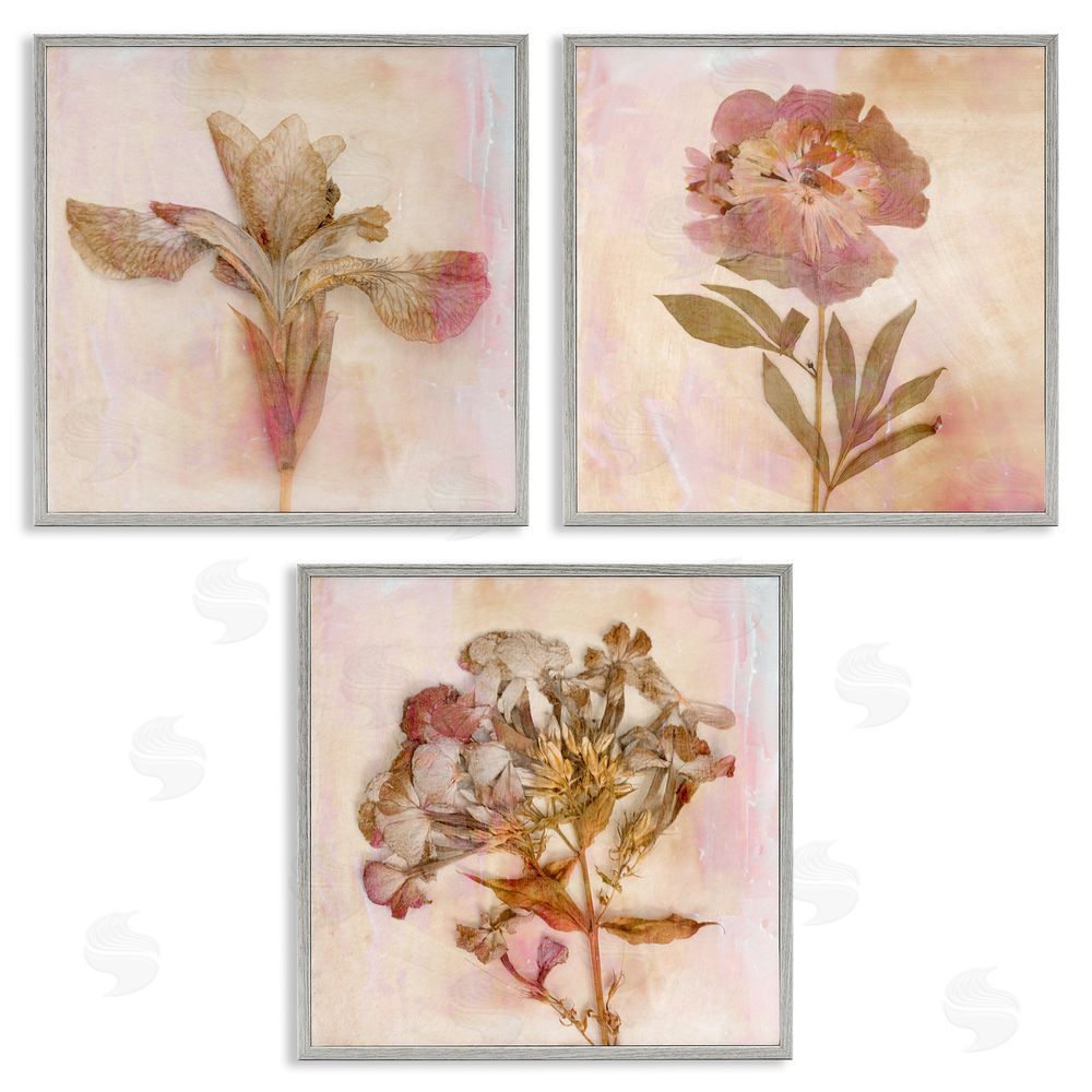 Judy Stalus Vintage Dried Pink Flowers Gray Framed Giclee Wall Art Print