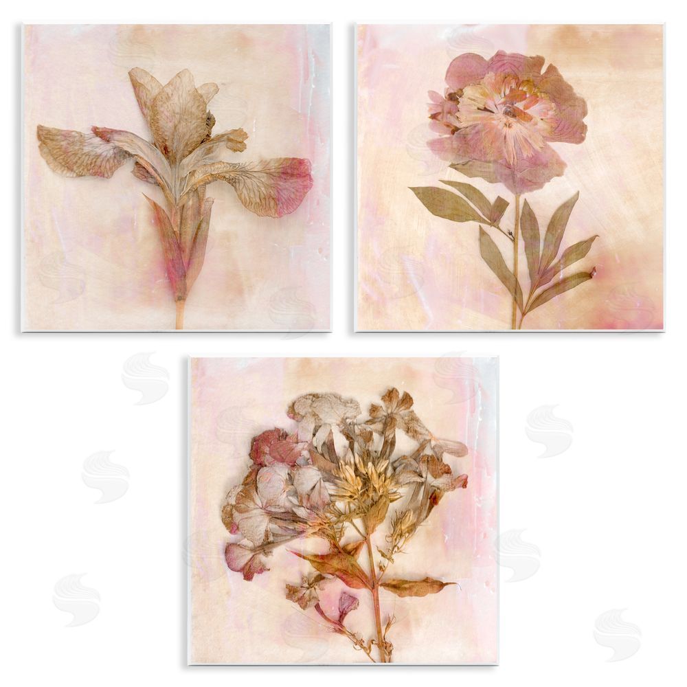 Judy Stalus Vintage Dried Pink Flowers Wooden Wall Plaque Art Print