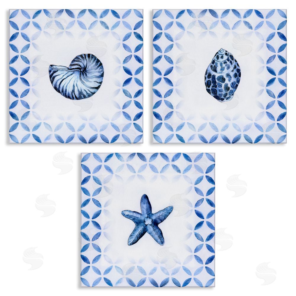 Tava Studios Nautilus Spiral Shell Starfish Blue Aquatics Canvas Wall Art Print