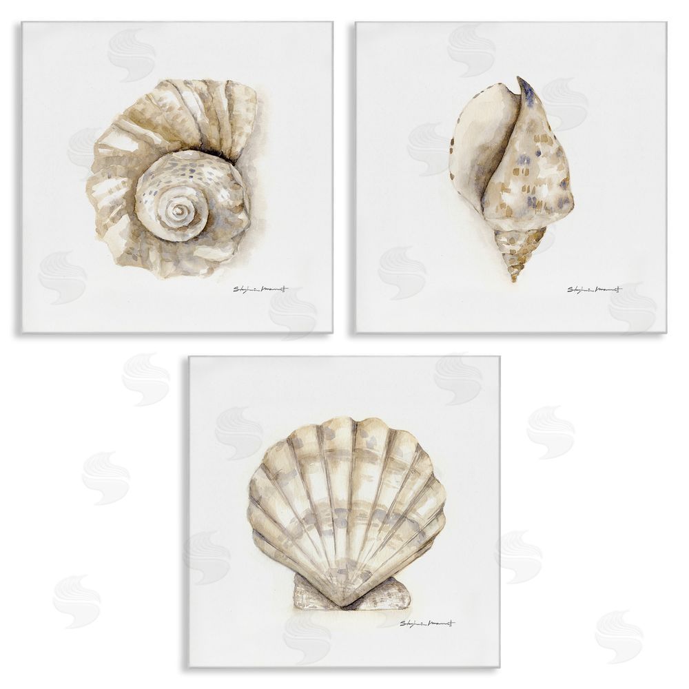 Stephanie Workman Marrott Soft White Patterned Seashells Nautical Canvas Wall Art Print