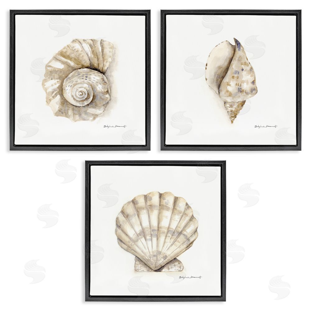 Stephanie Workman Marrott Soft White Patterned Seashells Nautical Black Floating Frame Canvas Wall Art Print