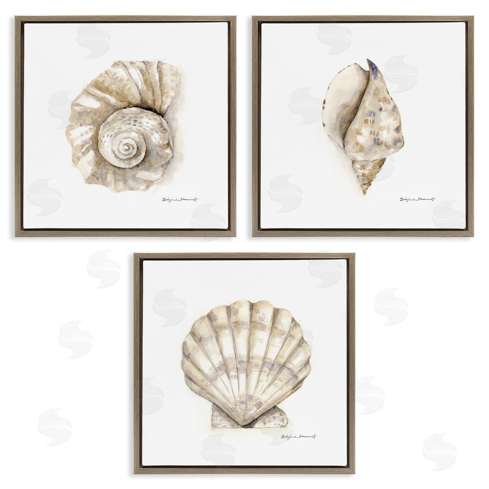 Stephanie Workman Marrott Soft White Patterned Seashells Nautical Brown Floating Frame Canvas Wall Art Print