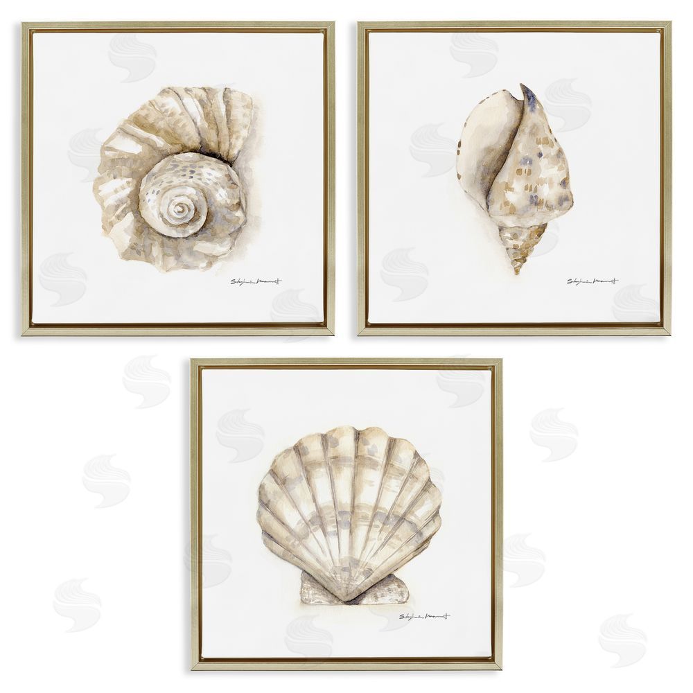 Stephanie Workman Marrott Soft White Patterned Seashells Nautical Gold Floating Frame Canvas Wall Art Print