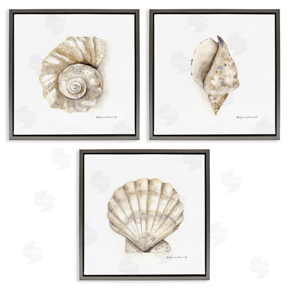 Stephanie Workman Marrott Soft White Patterned Seashells Nautical Gray Floating Frame Canvas Wall Art Print