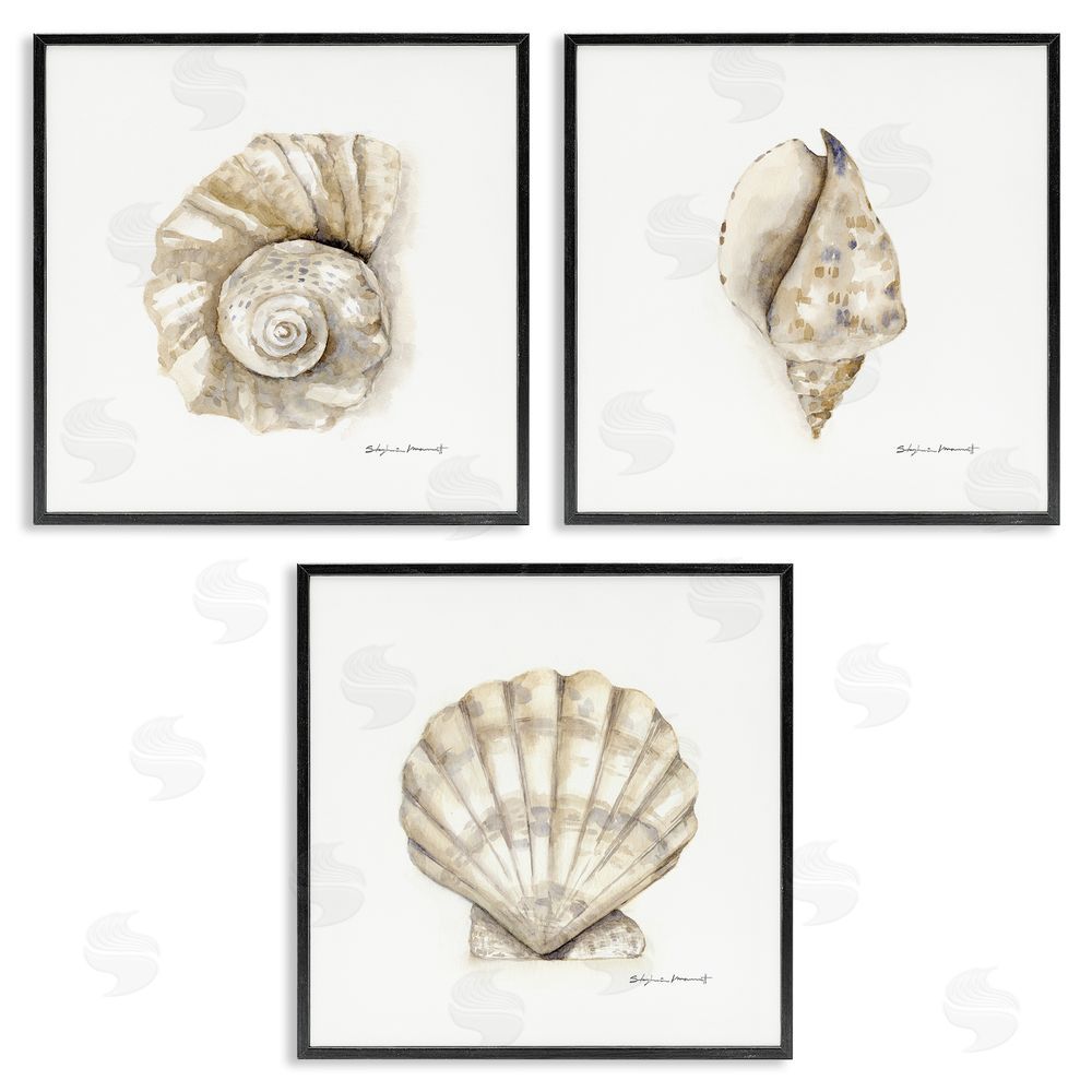 Stephanie Workman Marrott Soft White Patterned Seashells Nautical Black Framed Giclee Wall Art Print