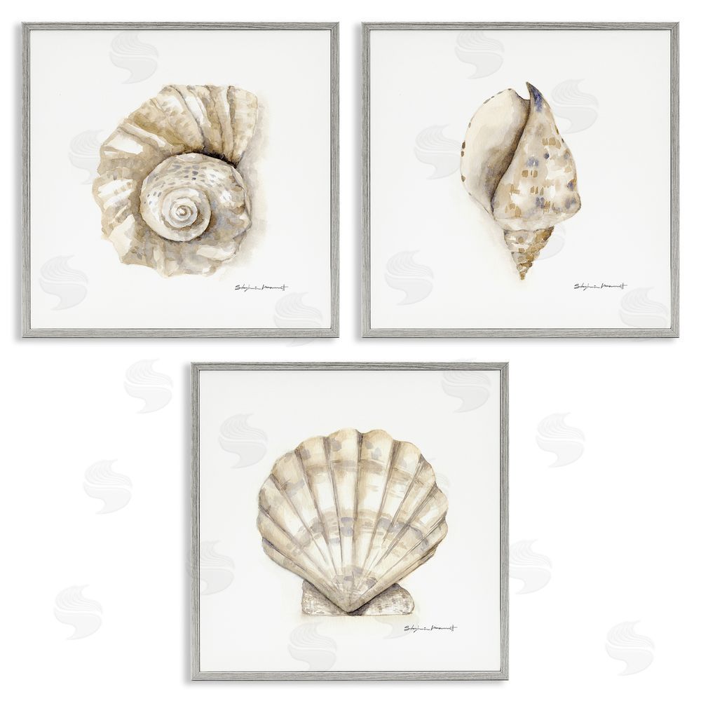 Stephanie Workman Marrott Soft White Patterned Seashells Nautical Gray Framed Giclee Wall Art Print