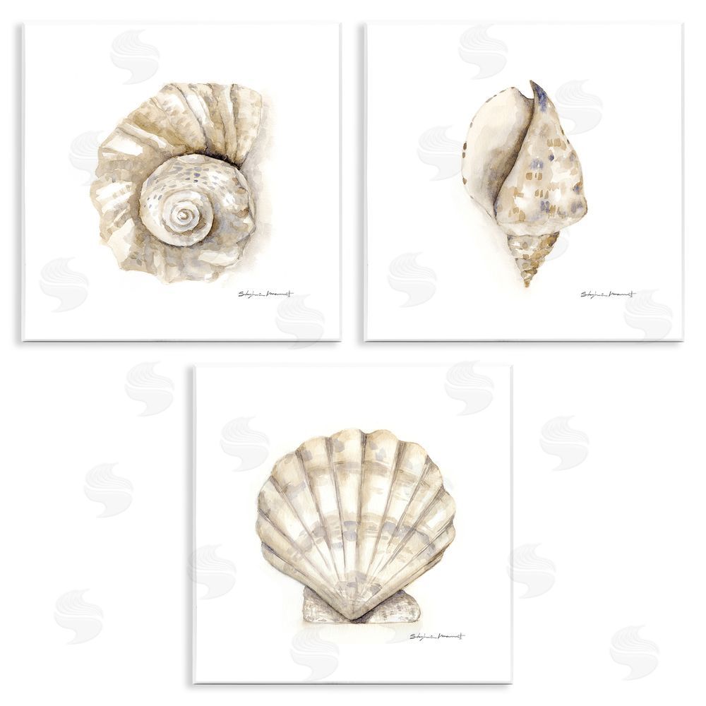 Stephanie Workman Marrott Soft White Patterned Seashells Nautical Wooden Wall Plaque Art Print