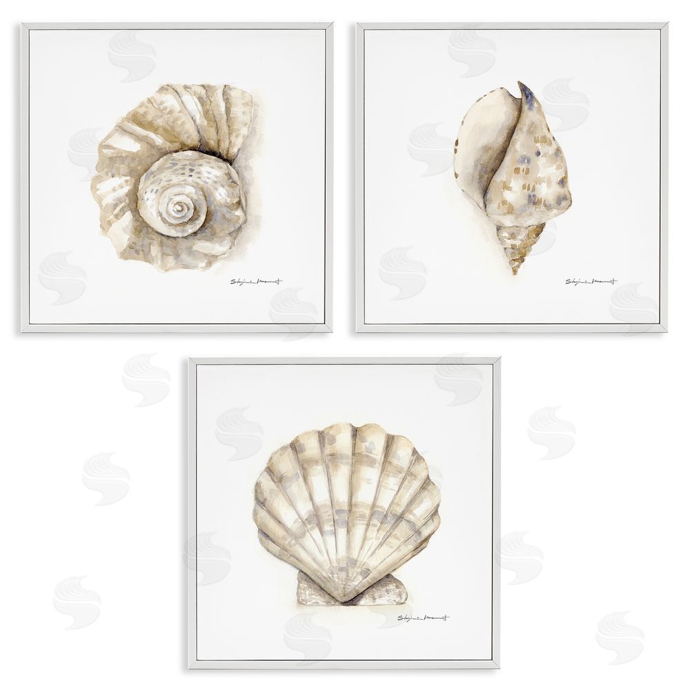 Stephanie Workman Marrott Soft White Patterned Seashells Nautical White Framed Giclee Wall Art Print