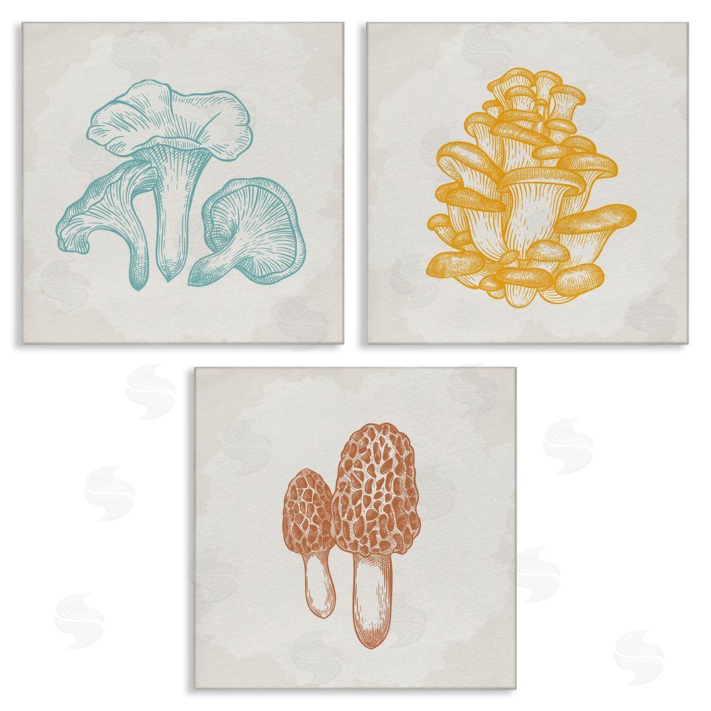 Kim Allen Mushroom Love Woodland Sketch Canvas Wall Art Print