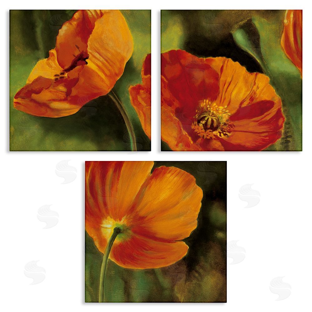 Pierre Viollet Wild Poppy Blooms Flower Garden Canvas Wall Art Print