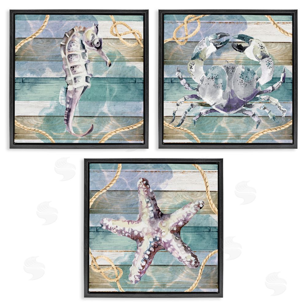 Nicole DeCamp Sea Life Plank Pattern Black Floating Frame Canvas Wall Art Print