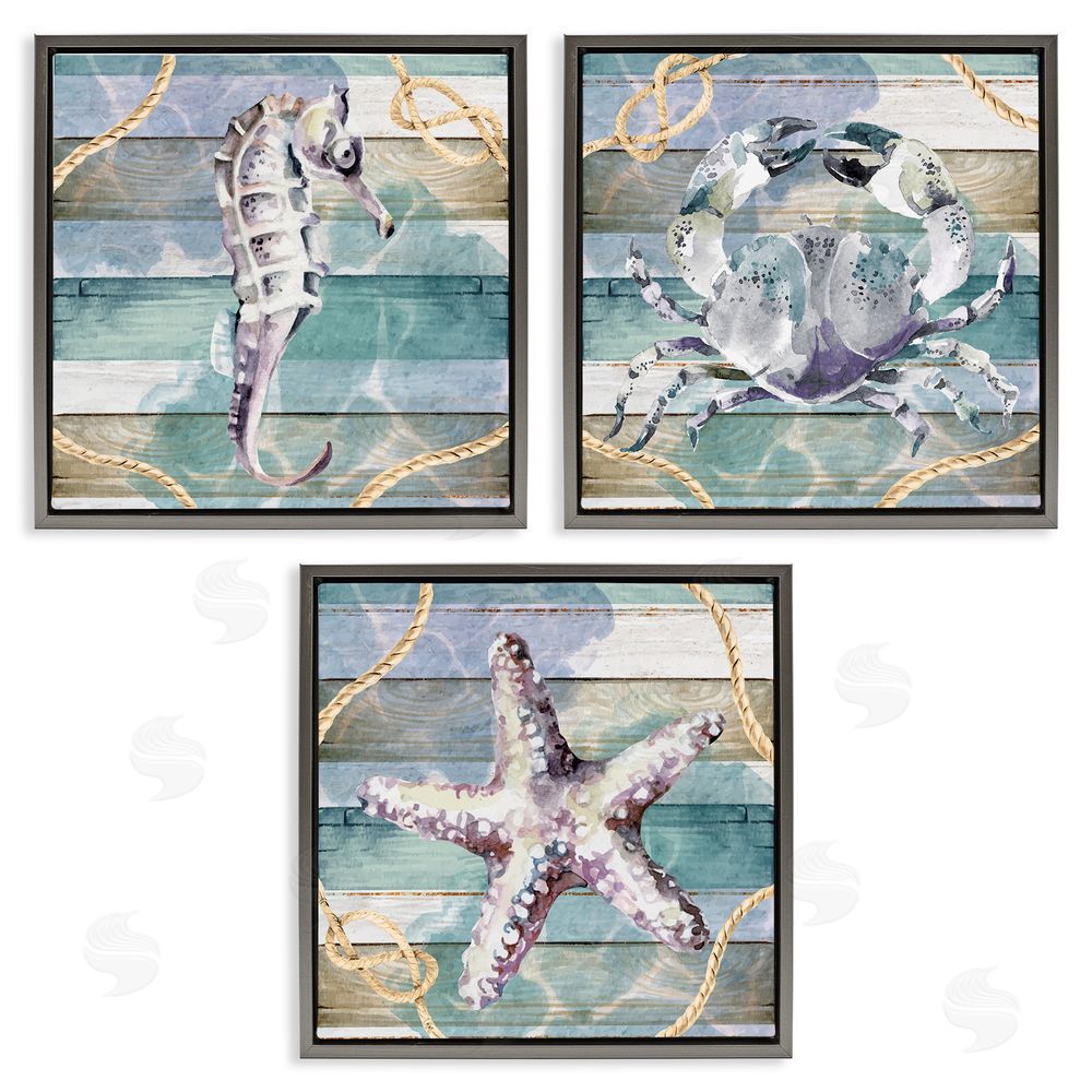 Nicole DeCamp Sea Life Plank Pattern Gray Floating Frame Canvas Wall Art Print