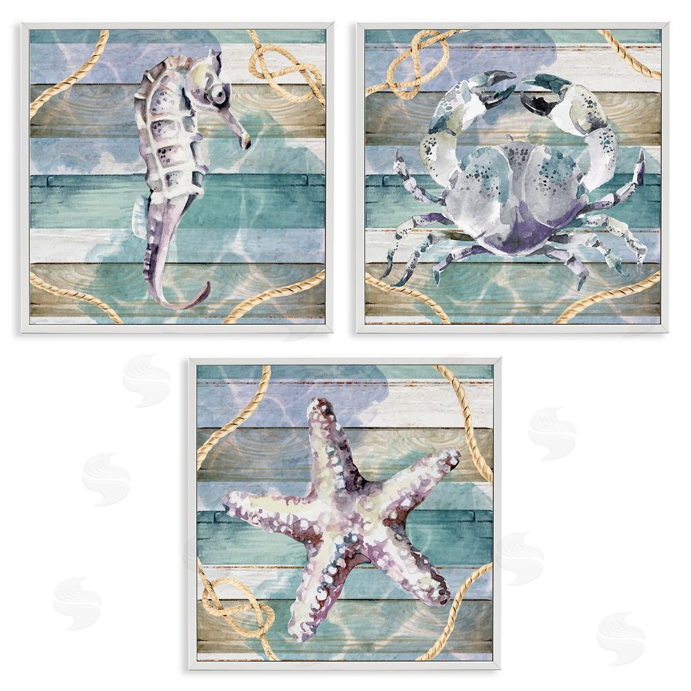 Nicole DeCamp Sea Life Plank Pattern White Framed Giclee Wall Art Print