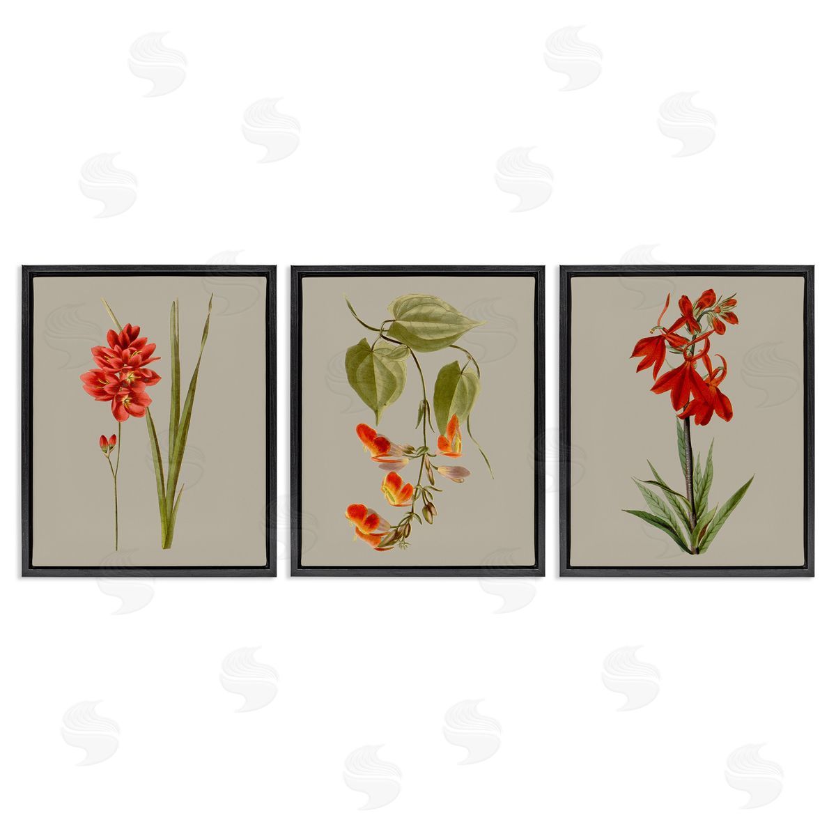 Vision Studio Woodland Flower Study Black Floating Frame Canvas Wall Art Print