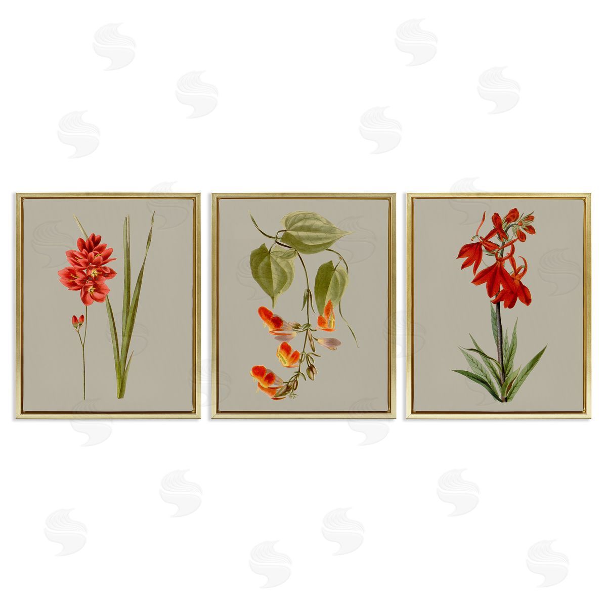 Vision Studio Woodland Flower Study Gold Floating Frame Canvas Wall Art Print