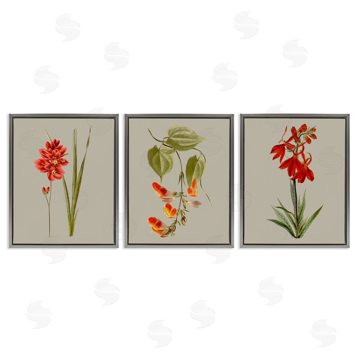 Vision Studio Woodland Flower Study Gray Floating Frame Canvas Wall Art Print