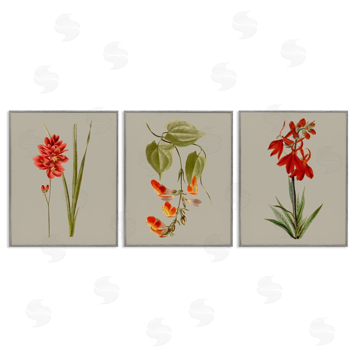 Vision Studio Woodland Flower Study Gray Framed Giclee Wall Art Print