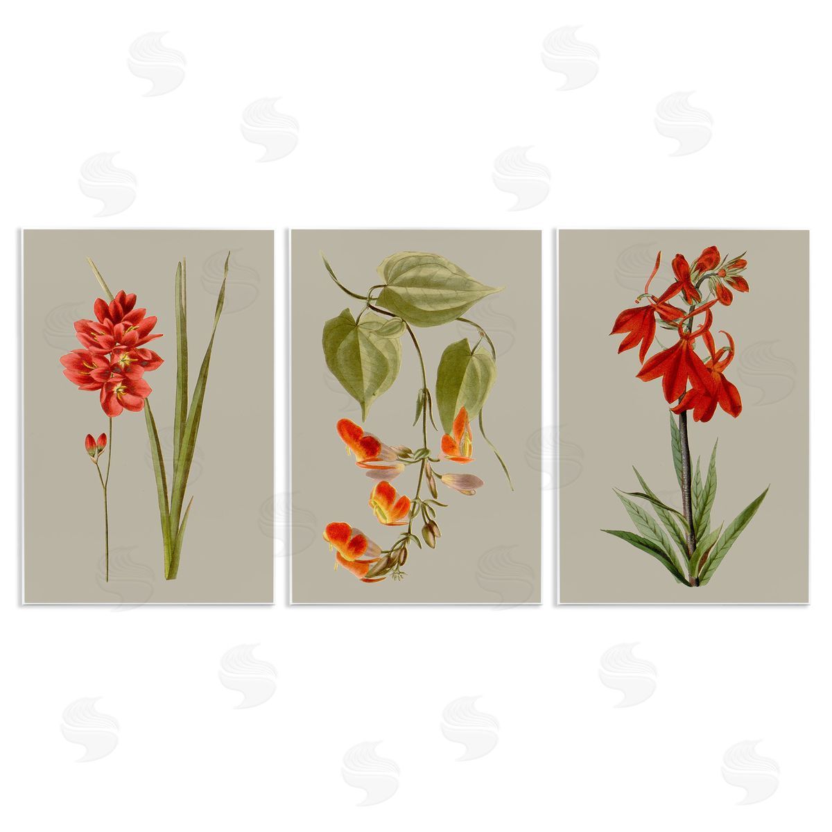 Vision Studio Woodland Flower Study Wooden Wall Plaque Art Print