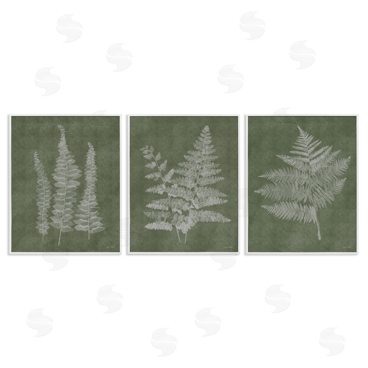 Annie LaPoint Vintage Fern Silhouettes White Framed Giclee Wall Art Print