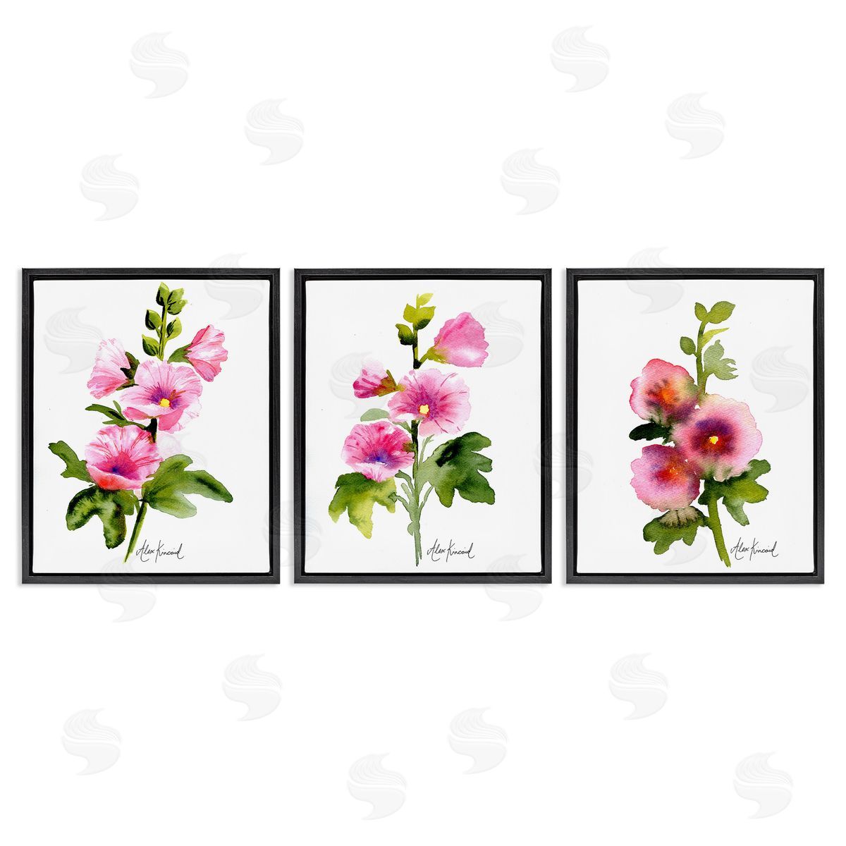 Alexandria Gilbert Kincaid Pink Flower Watercolors Black Floating Frame Canvas Wall Art Print