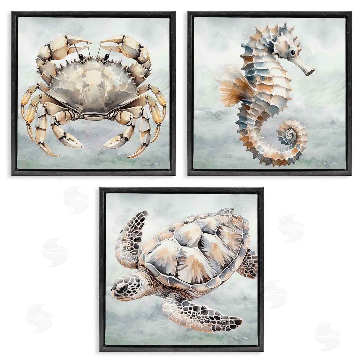Nicole DeCamp Traditional Marine Life Black Floating Frame Canvas Wall Art Print