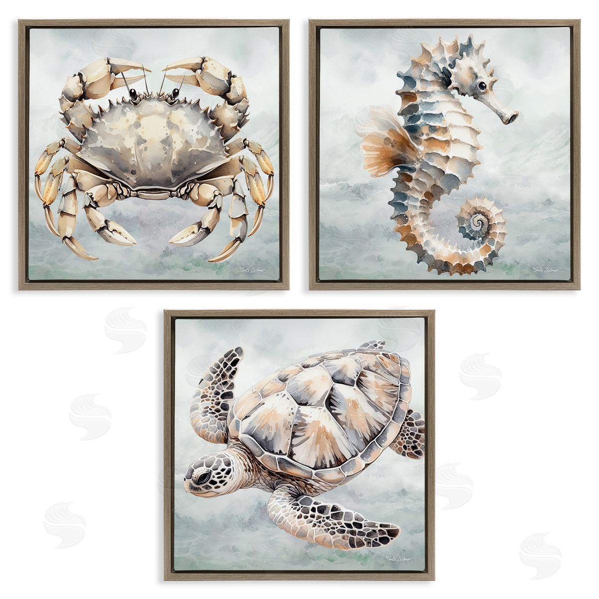 Nicole DeCamp Traditional Marine Life Brown Floating Frame Canvas Wall Art Print