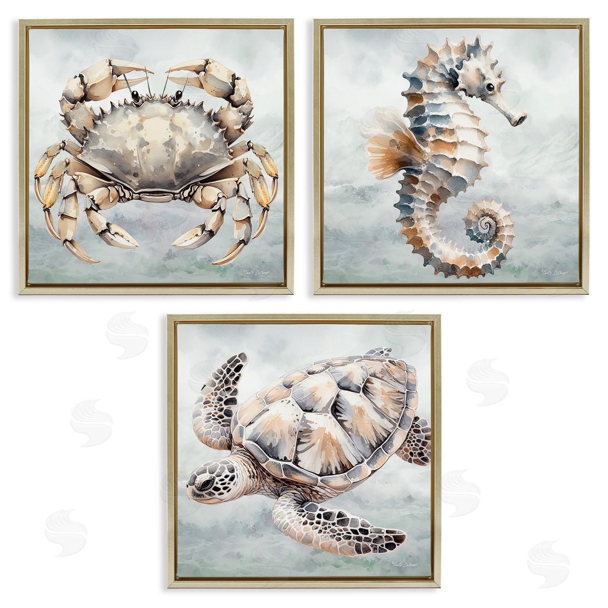 Nicole DeCamp Traditional Marine Life Gold Floating Frame Canvas Wall Art Print