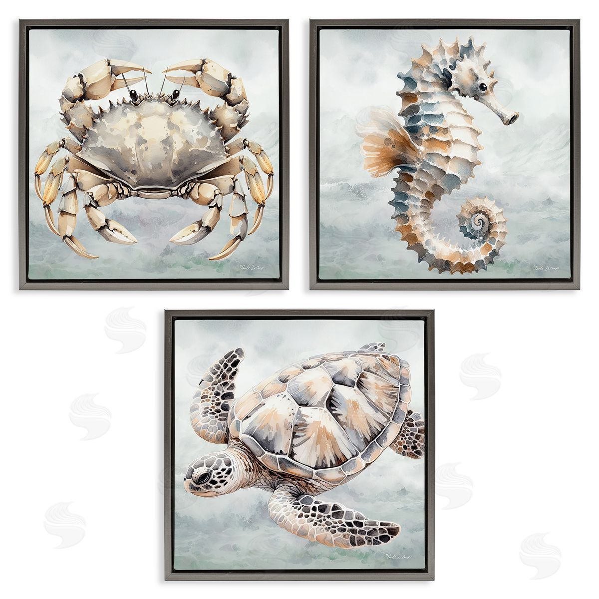 Nicole DeCamp Traditional Marine Life Gray Floating Frame Canvas Wall Art Print