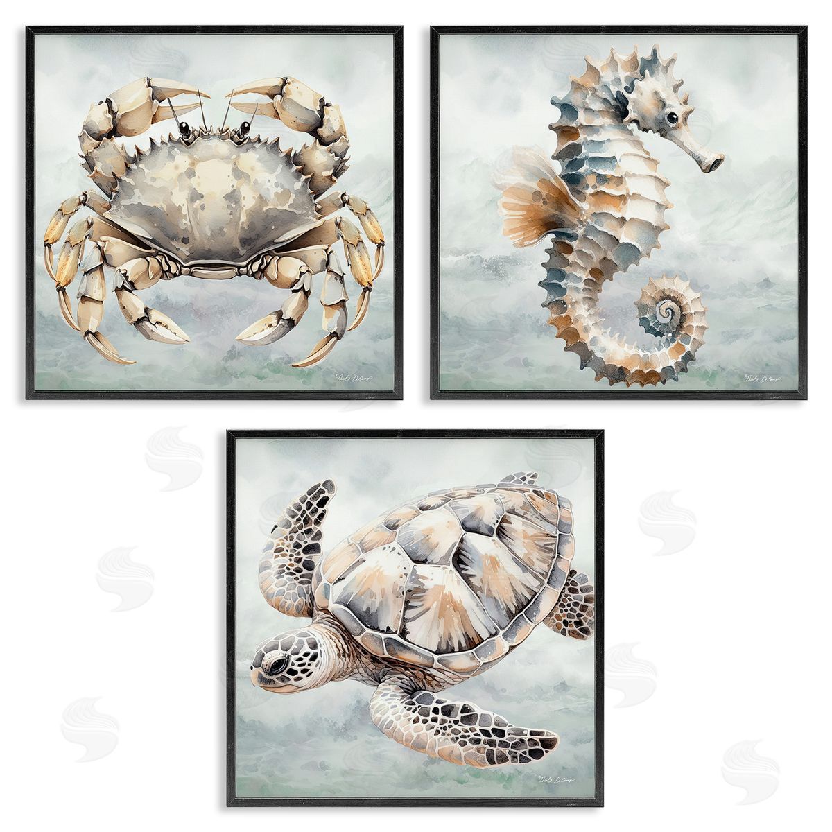 Nicole DeCamp Traditional Marine Life Black Framed Giclee Wall Art Print