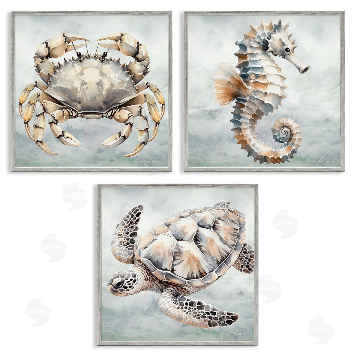 Nicole DeCamp Traditional Marine Life Gray Framed Giclee Wall Art Print