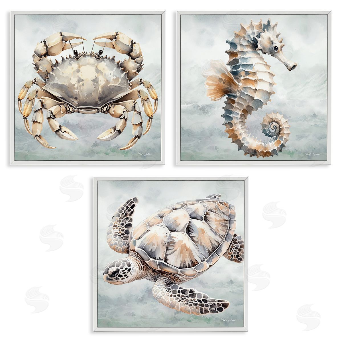 Nicole DeCamp Traditional Marine Life White Framed Giclee Wall Art Print