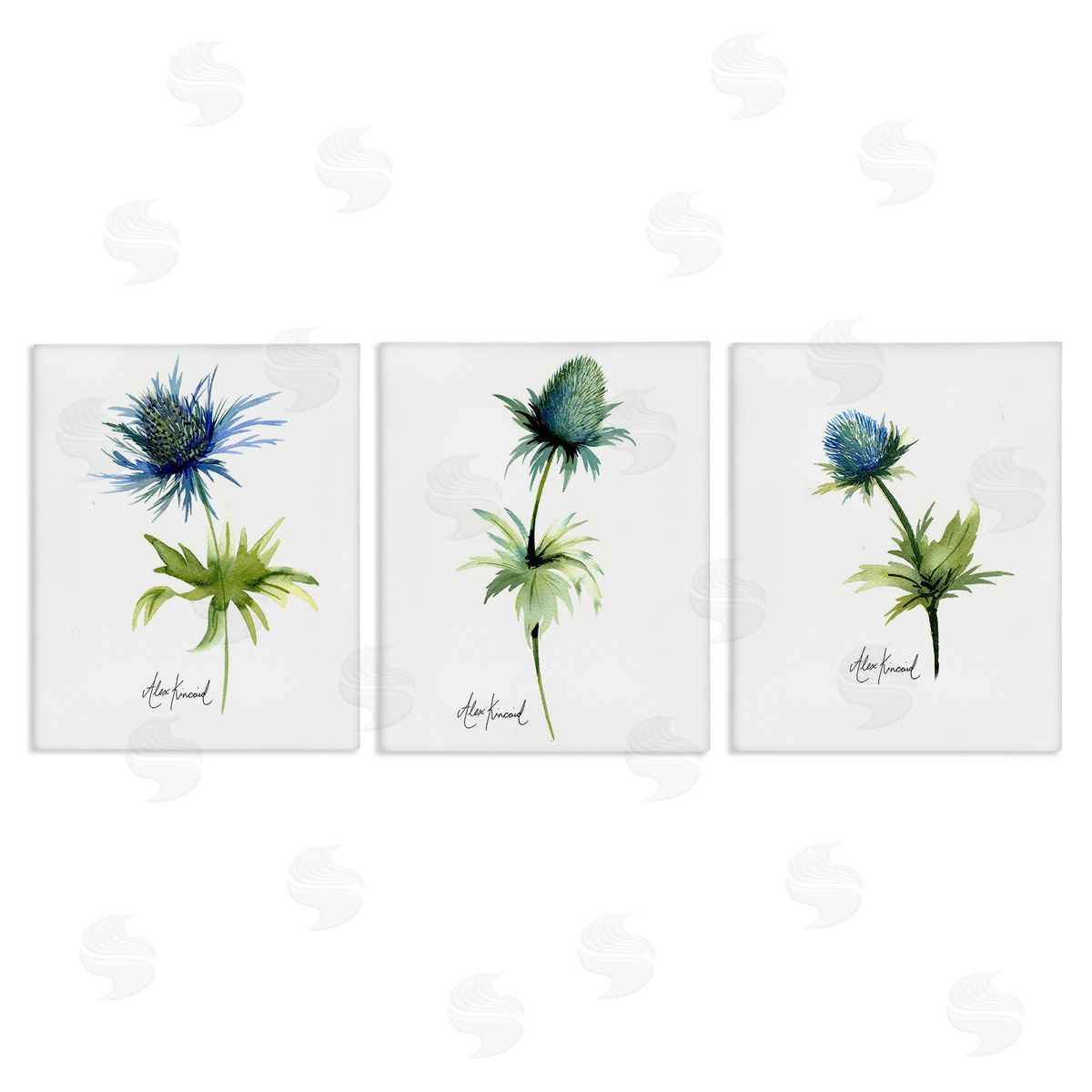 Alexandria Gilbert Kincaid Thistle Watercolors on White Canvas Wall Art Print