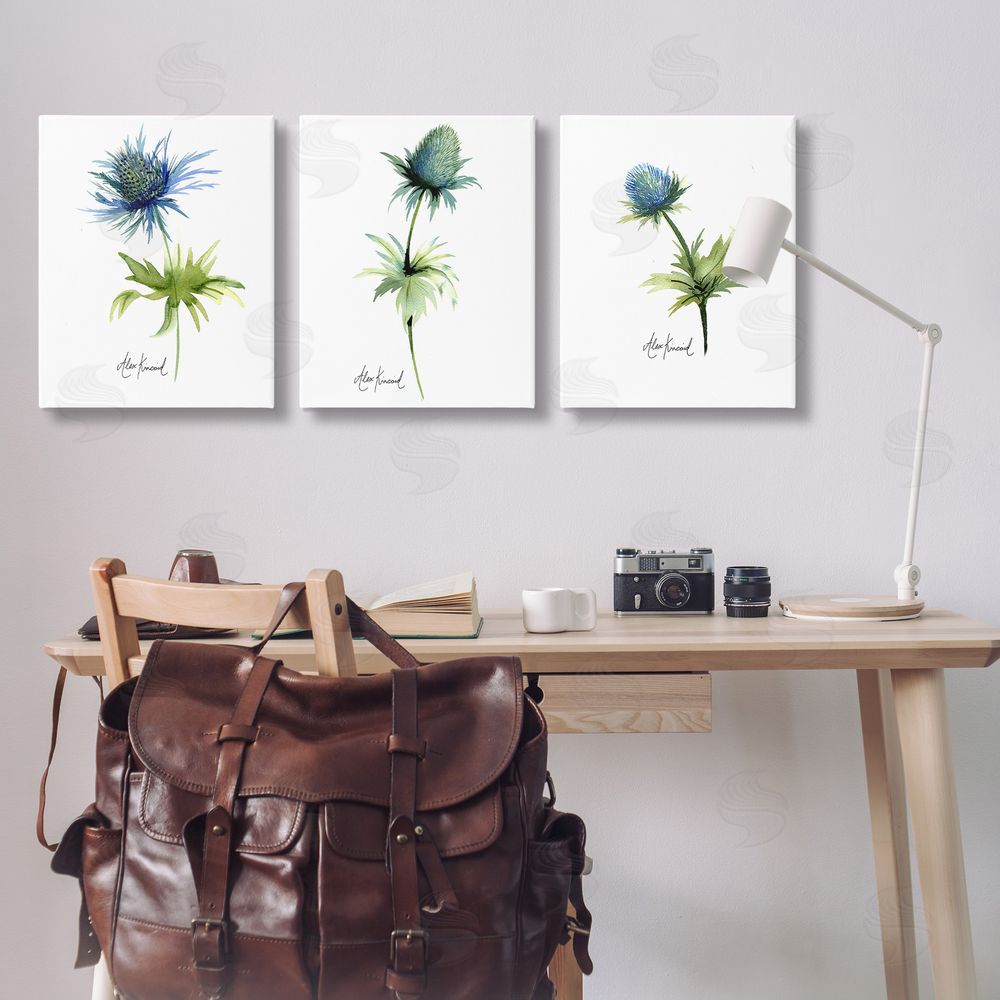 Alexandria Gilbert Kincaid Thistle Watercolors on White Canvas Wall Art Print in Room