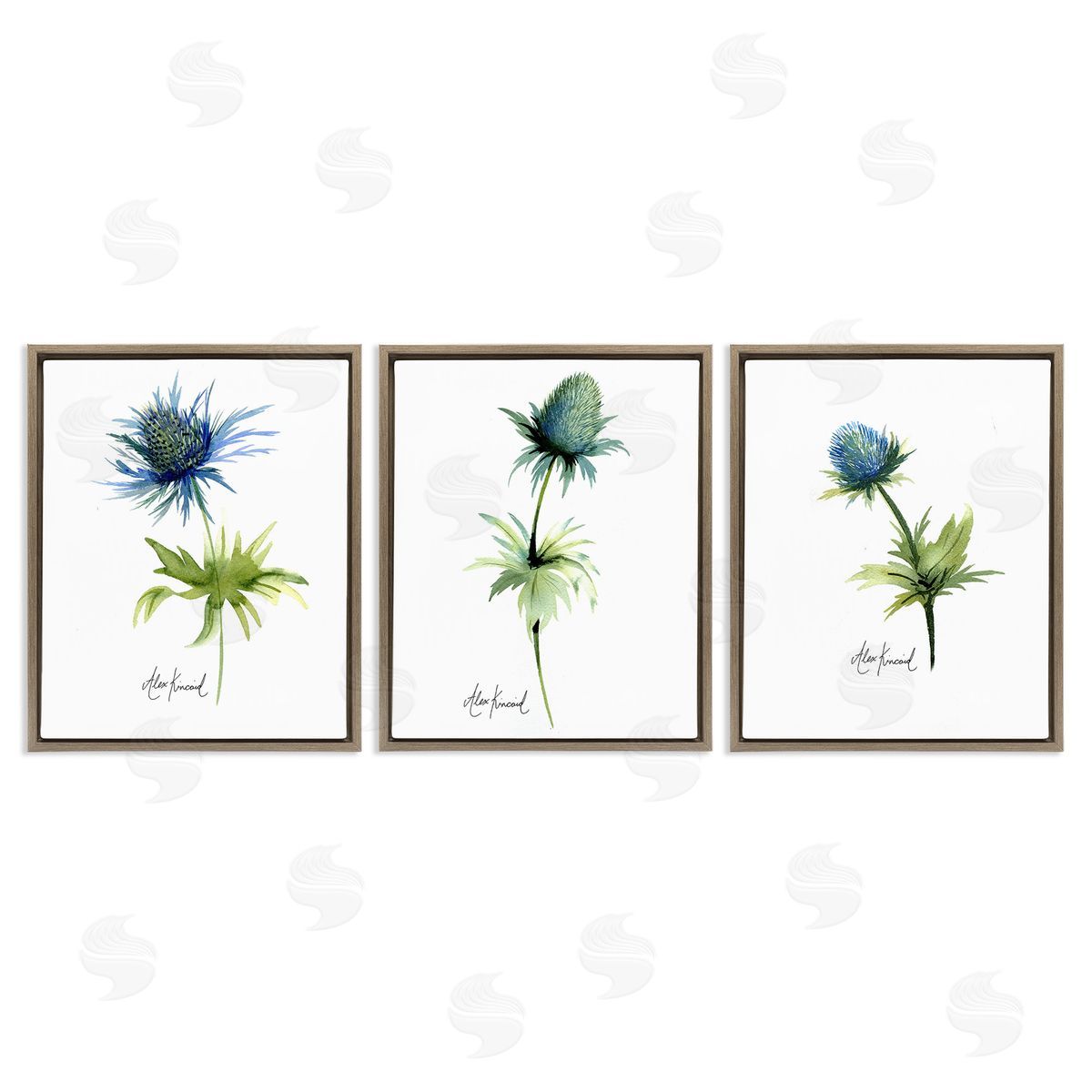 Alexandria Gilbert Kincaid Thistle Watercolors on White Brown Floating Frame Canvas Wall Art Print