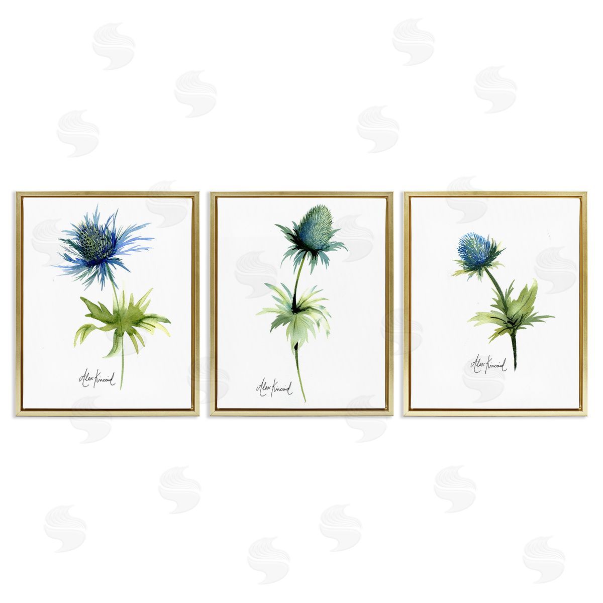 Alexandria Gilbert Kincaid Thistle Watercolors on White Gold Floating Frame Canvas Wall Art Print