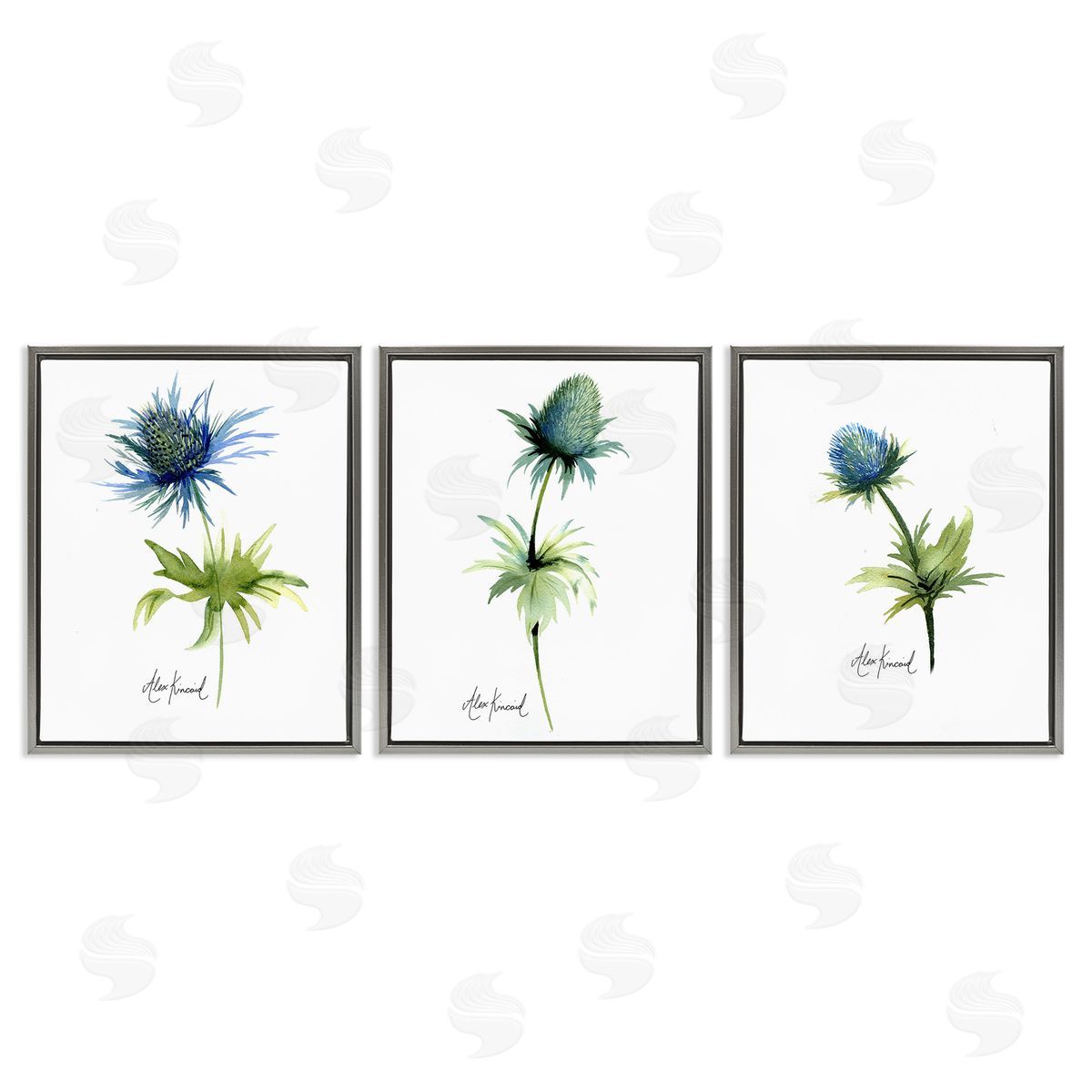 Alexandria Gilbert Kincaid Thistle Watercolors on White Gray Floating Frame Canvas Wall Art Print