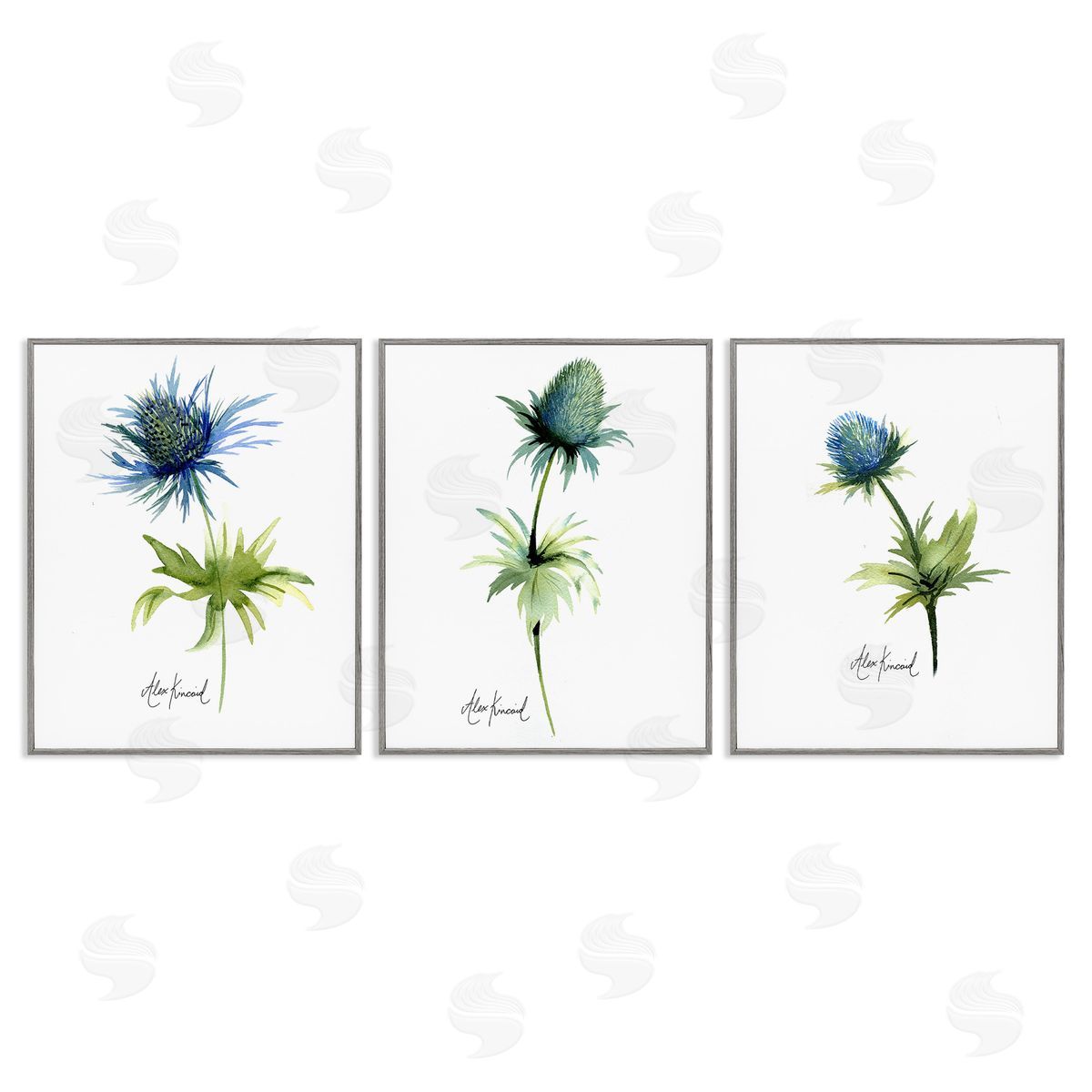 Alexandria Gilbert Kincaid Thistle Watercolors on White Gray Framed Giclee Wall Art Print