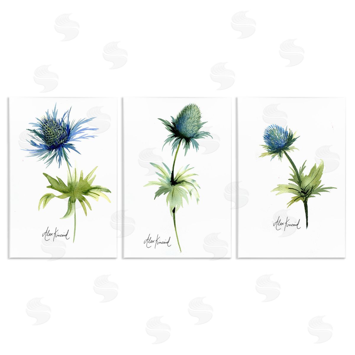 Alexandria Gilbert Kincaid Thistle Watercolors on White Wooden Wall Plaque Art Print