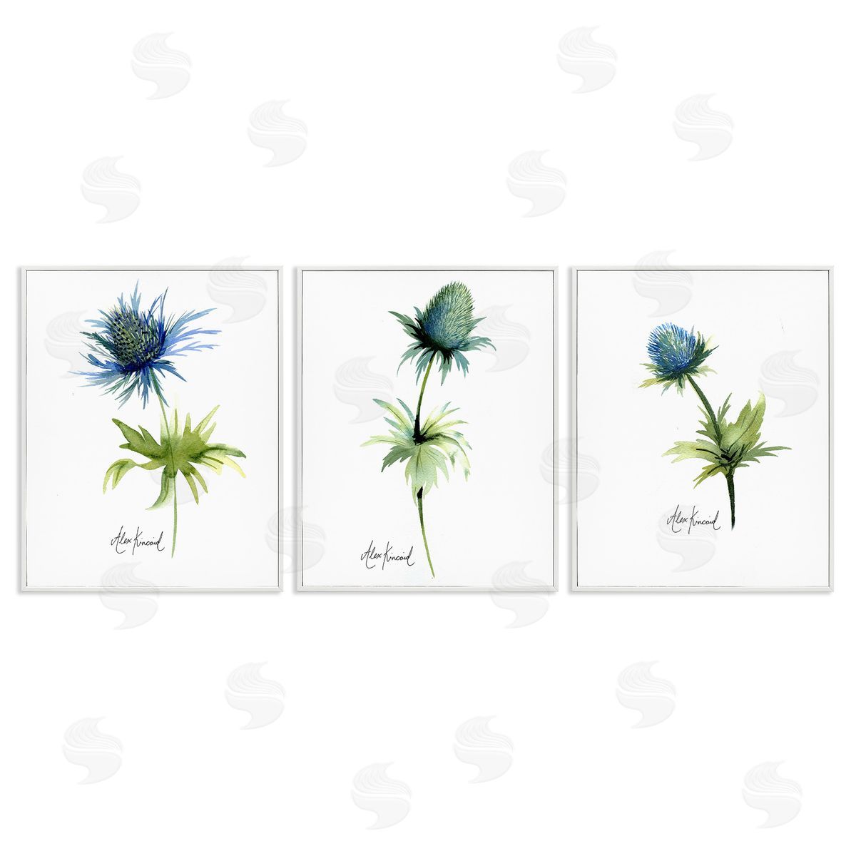 Alexandria Gilbert Kincaid Thistle Watercolors on White White Framed Giclee Wall Art Print
