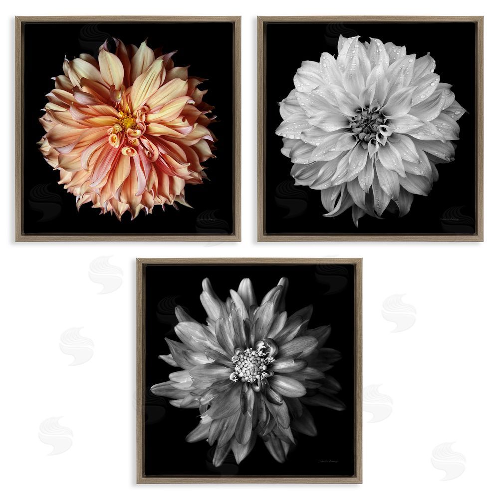 Debra Van Swearingen Detailed Dahlia Photography Brown Floating Frame Canvas Wall Art Print