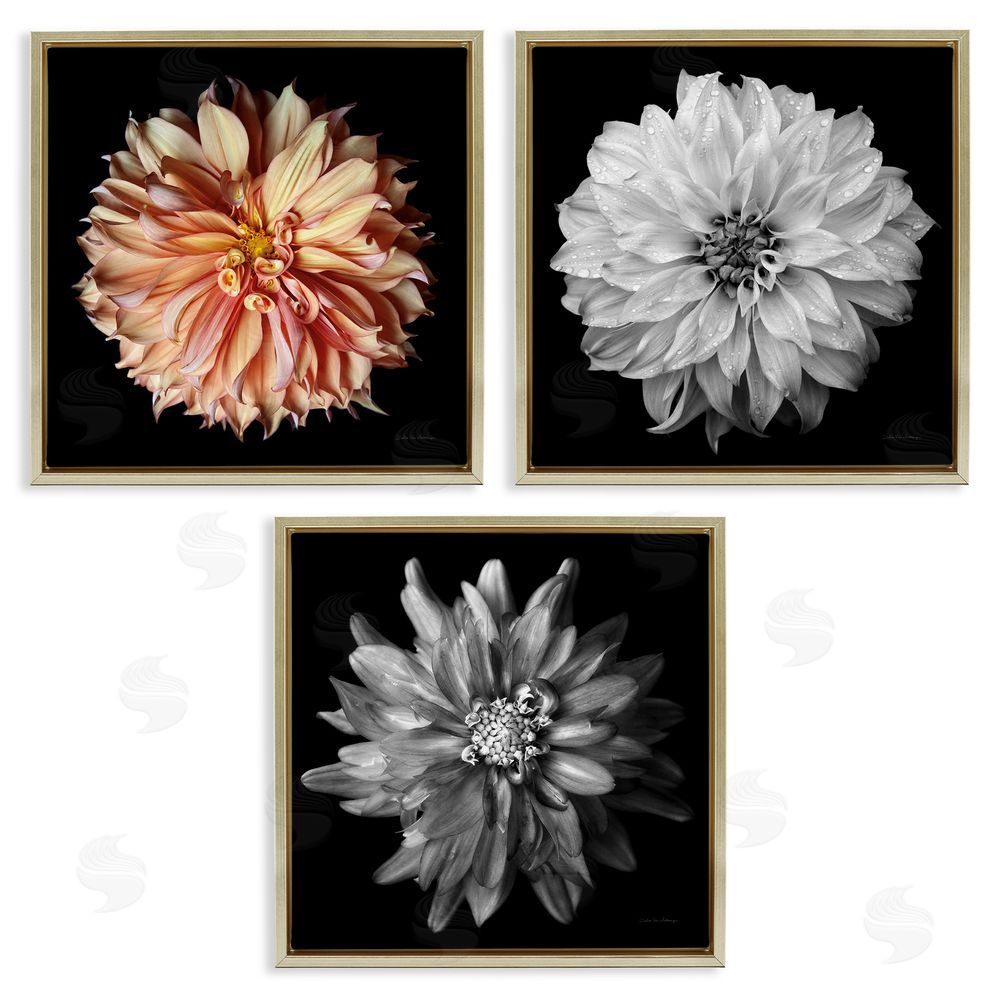 Debra Van Swearingen Detailed Dahlia Photography Gold Floating Frame Canvas Wall Art Print