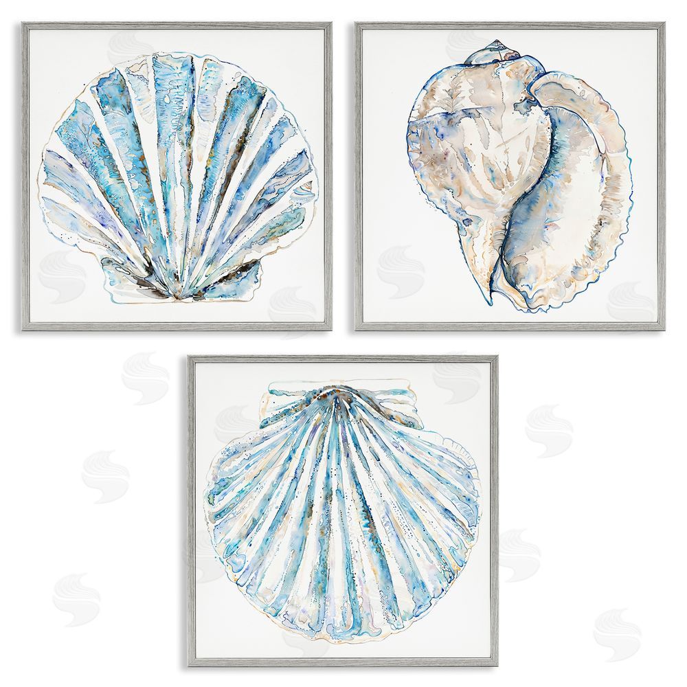 Christine Zalewski Clam & Conch Watercolors Gray Framed Giclee Wall Art Print