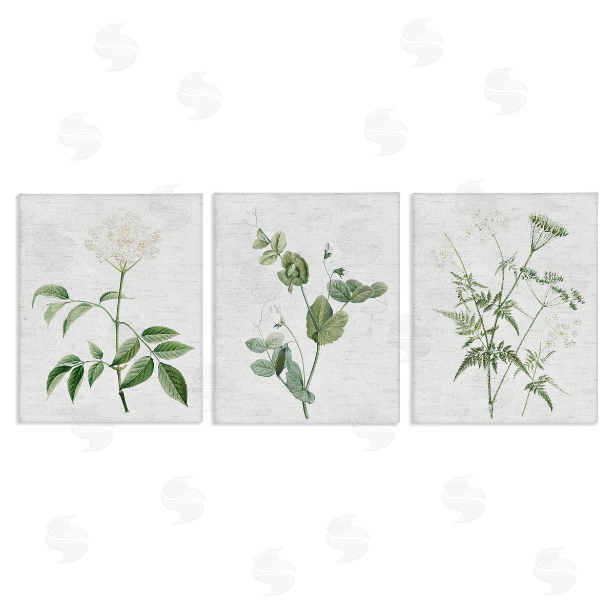Soft White Botanicals Canvas Wall Art, Home Decor by Lettered and Lined